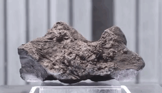 石头兄弟联创设计|天鹅飞过的地方,惊艳了时光。-29