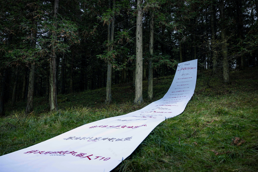 天猫双 11 必买榜丨中国四川丨天猫,天与空,不是美术馆-22