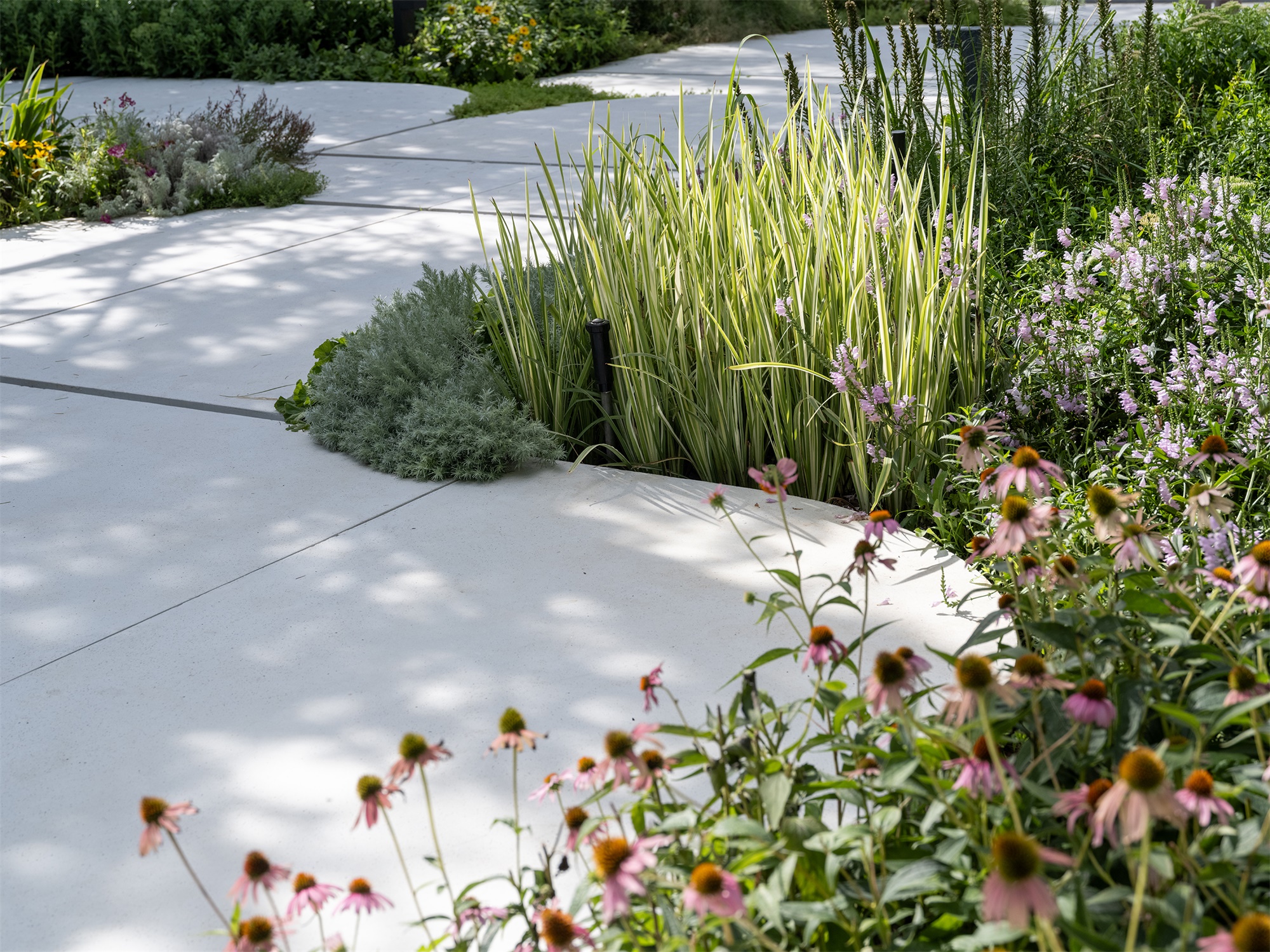 北京市三里屯西五街5号院花园丨中国北京丨OneScape一域景观事务所-208