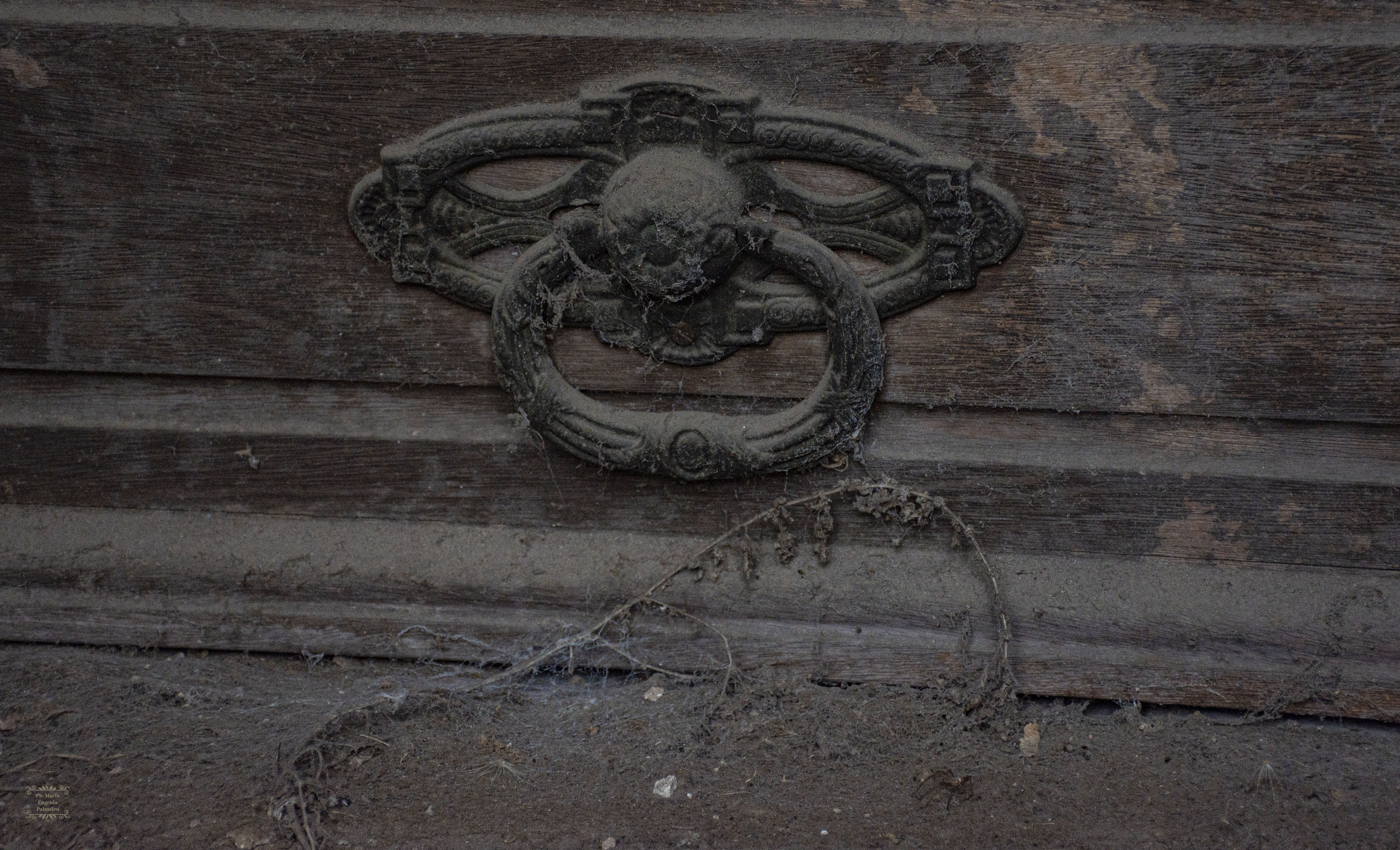 Cementerio de la Recoleta-17