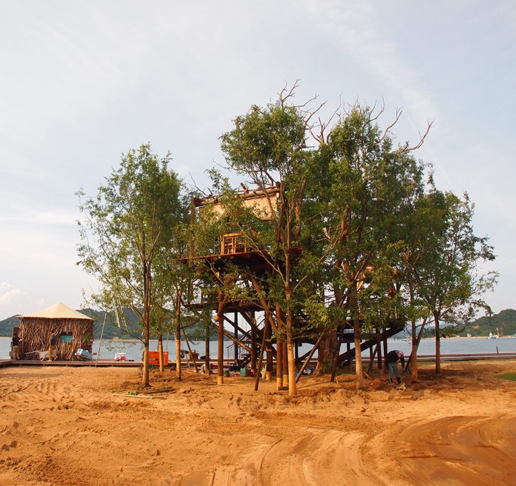 Tree terrace on uninhabited island-12