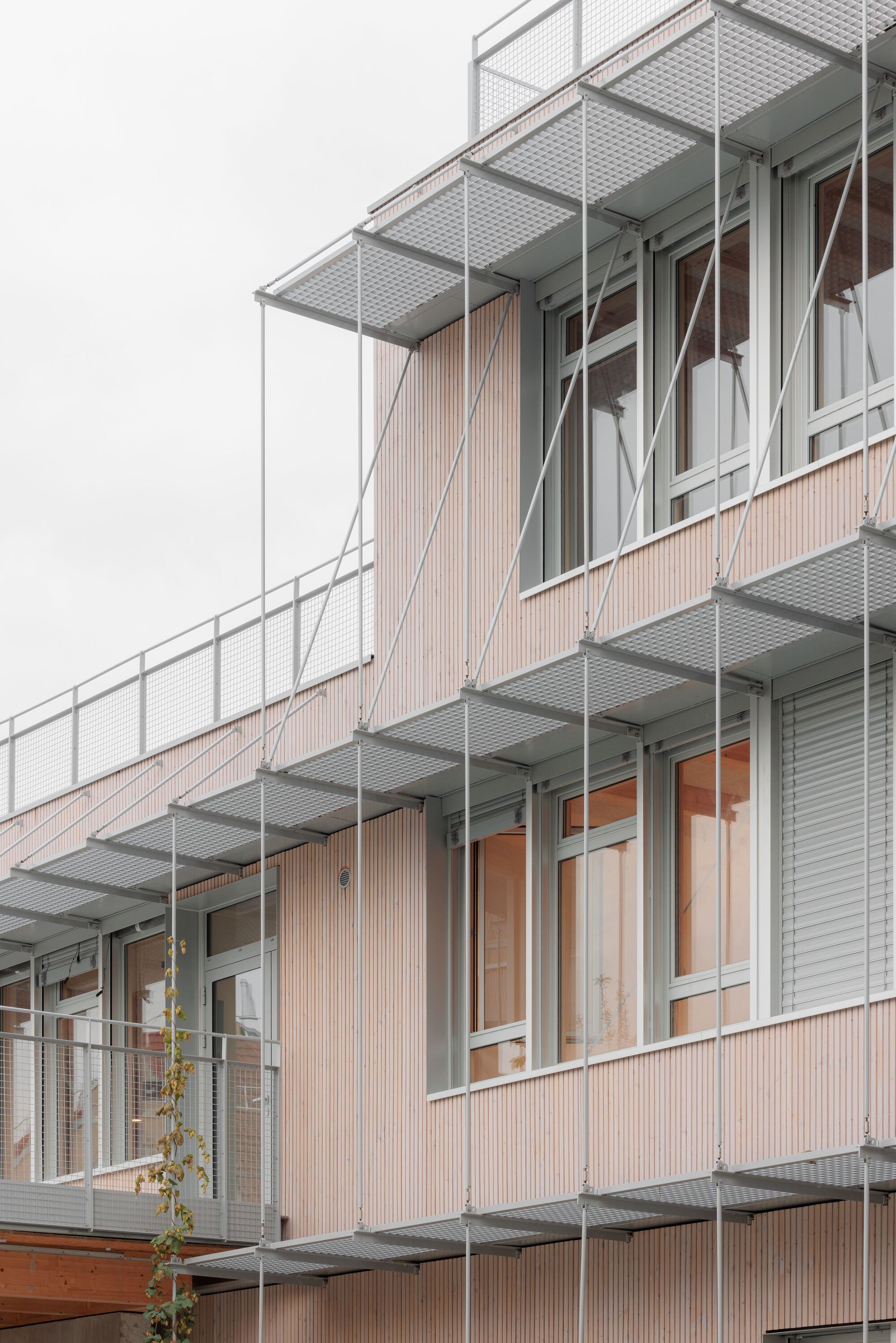 多米尼克·弗雷洛学校集团丨法国丨Tectoniques-52