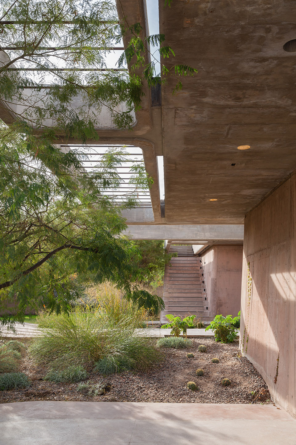 Brutal Honesty住宅丨阿根廷门多萨丨OF. STUDIO-109