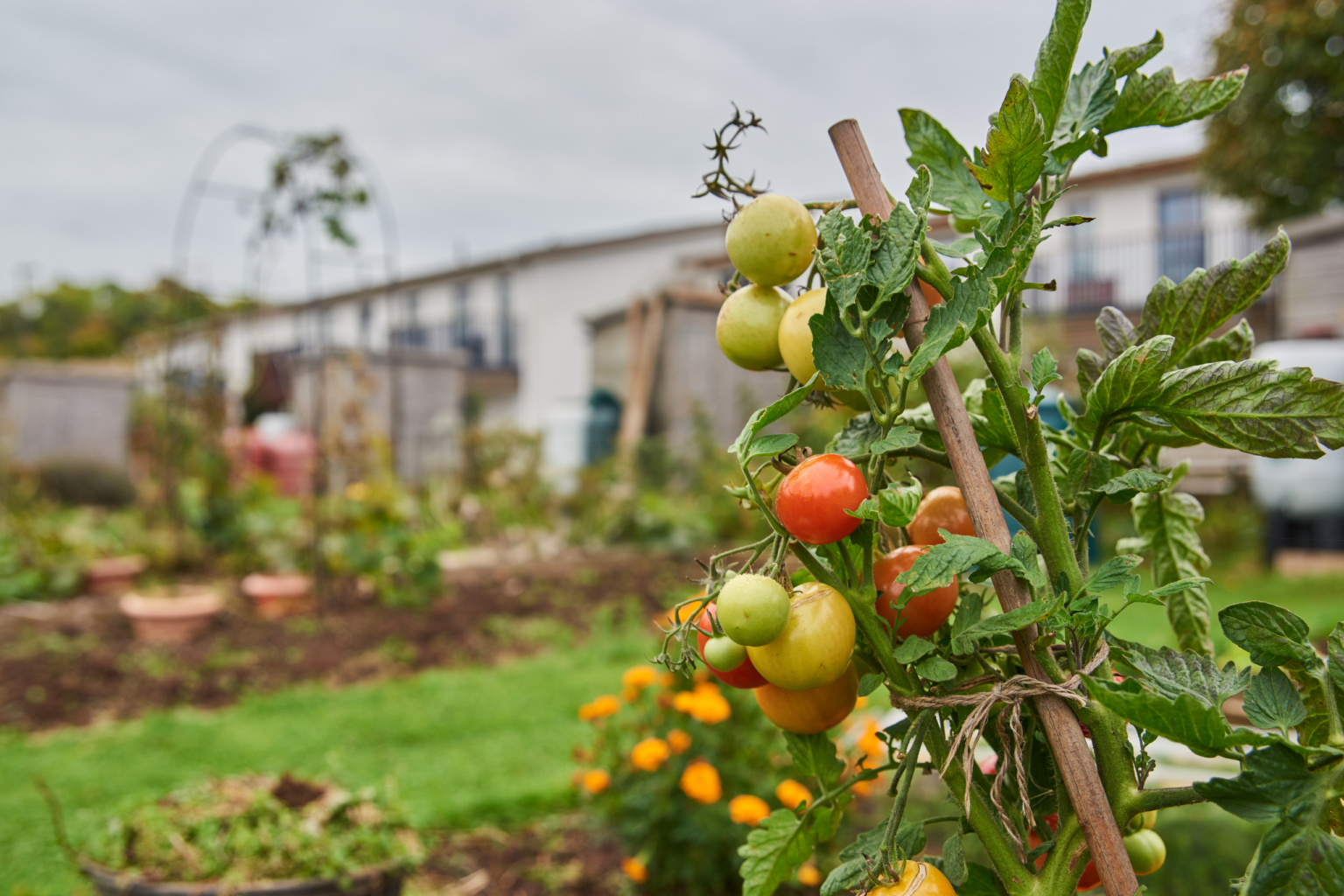 丨英国布里斯托尔-107