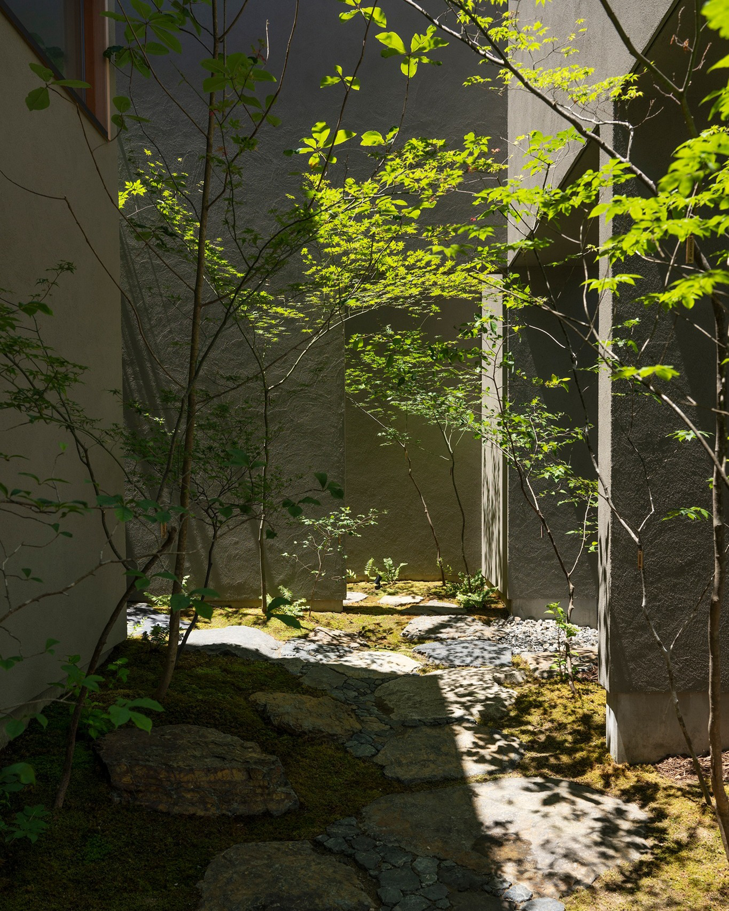 长野之家丨日本长野丨Tomoko Fukayama,熊谷隆-26