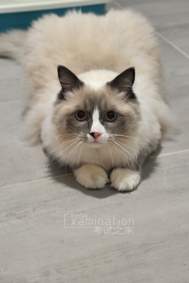 深圳学位房逆袭，100 平米三房两厅的极致改造-67