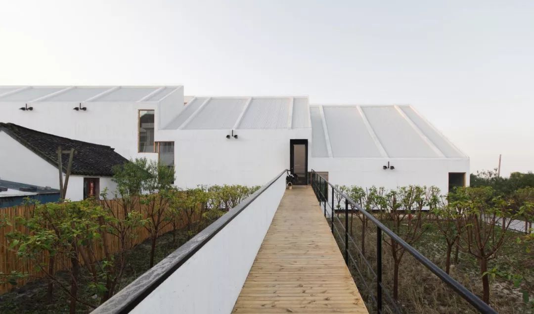 乡村粗野主义三部曲 | 探寻环境、结构与人的互动关系-125