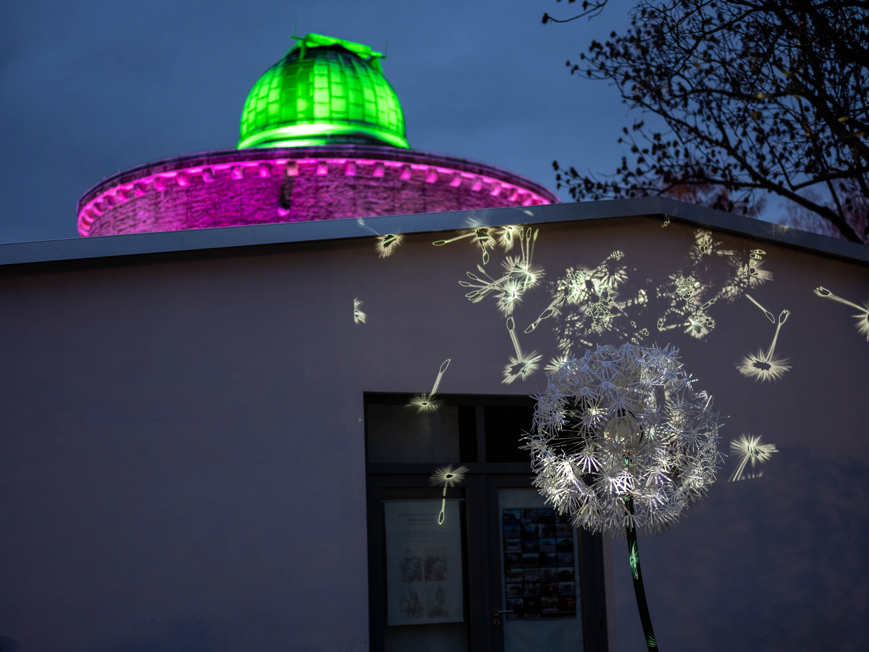 冬日之光丨德国-7