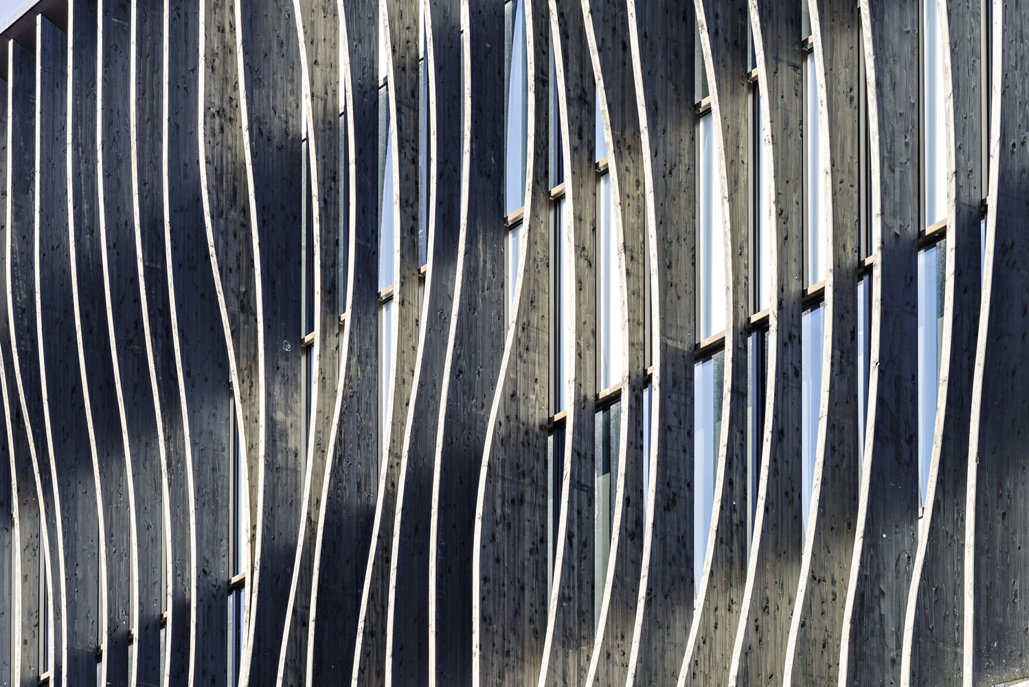 法国LycéeLa Plaine中学-21