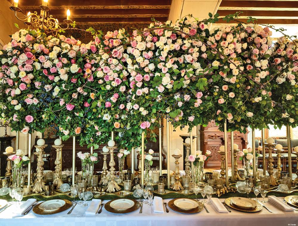 Domain of Chaumont-sur-Loire and International Garden Festival - France-15