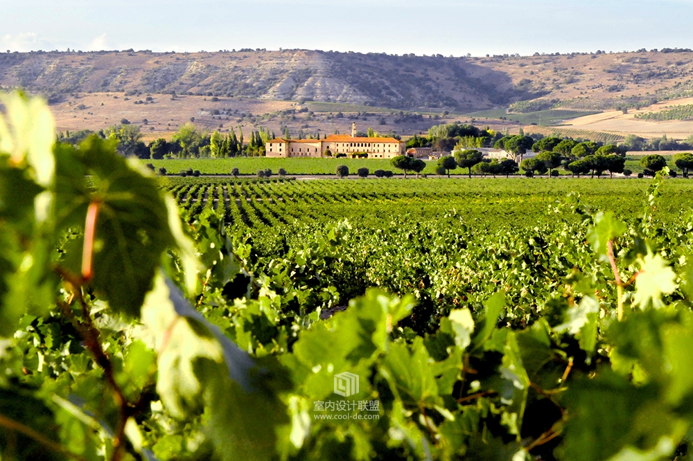 西班牙杜埃罗河谷庄园酒店-89