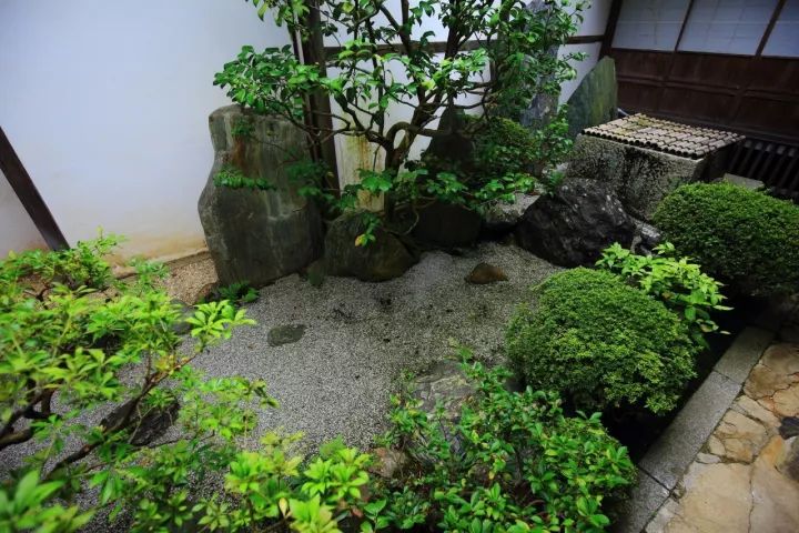 庭院满青苔，极美！-16