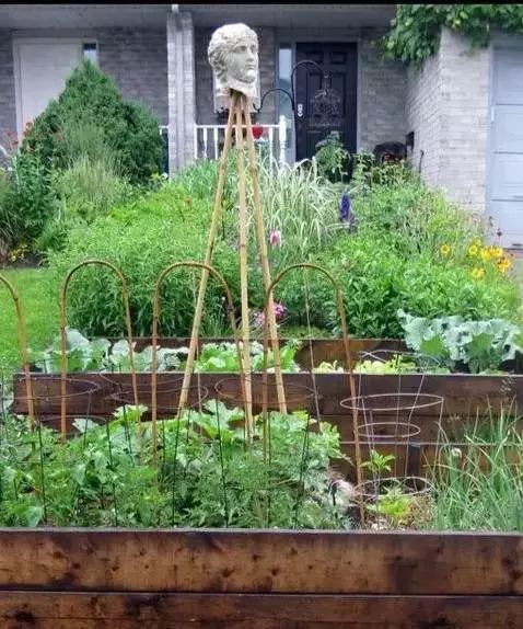 绿色生活趋势 | 可食地景打造城市美观实用景观-23