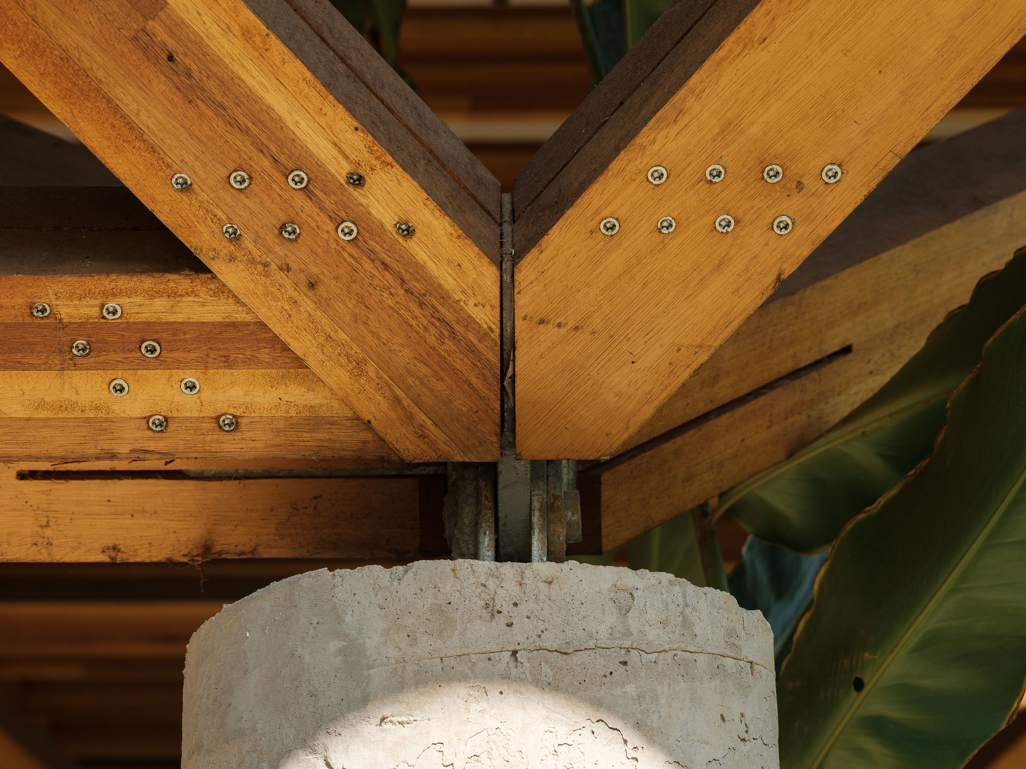 丨巴西帕拉丨Arquipélago Arquitetos-47