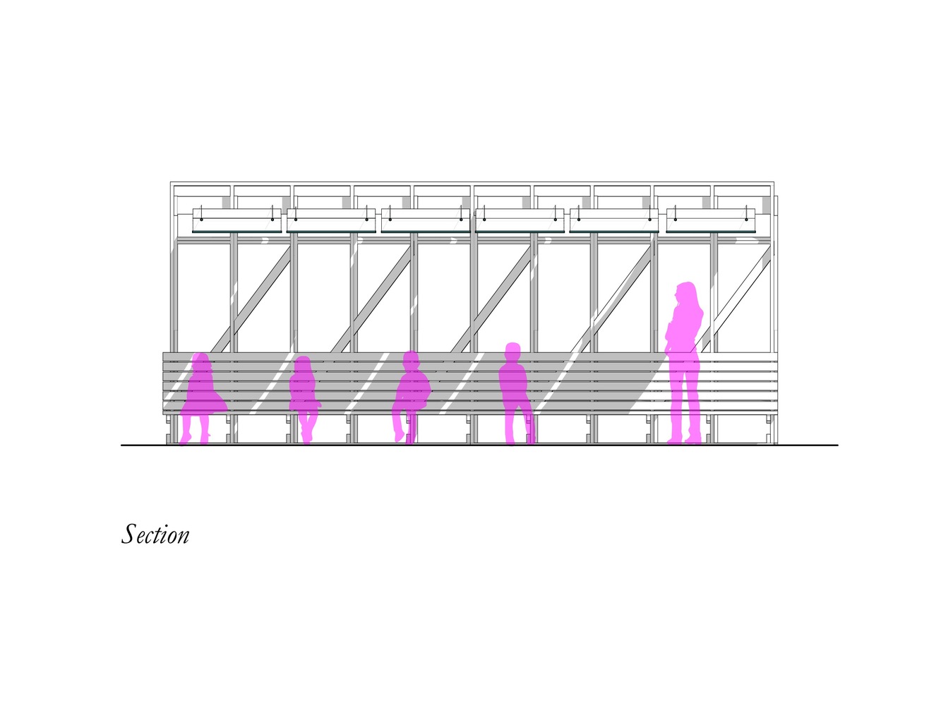 临时户外课堂丨美国奥斯汀丨Murray Legge Architecture-32