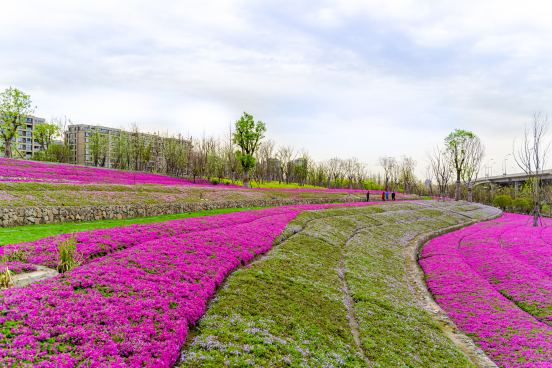 钱江世纪城机场路(金鸡路·杭甬铁路段)景观提升项目设计丨中国杭州-35