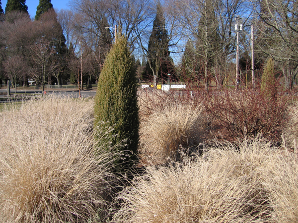 伊斯特莫兰花园画廊与规划方案丨Hannan Garden Design-7