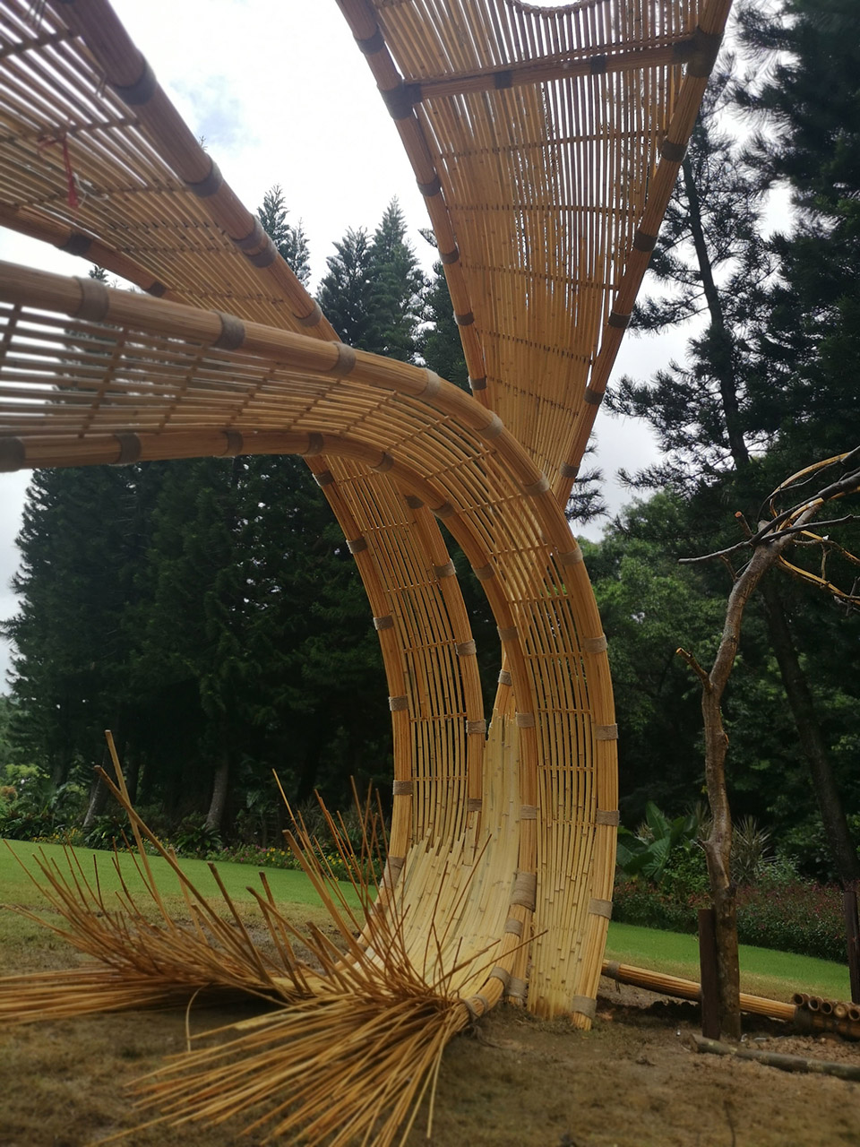 深圳 “种子”现代竹编装置-79