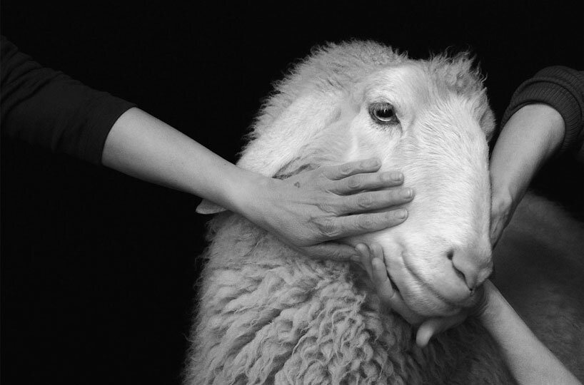 STEDELIJK MUSEUM EXHIBITS FORM丨意大利丨意大利设计工作室-15