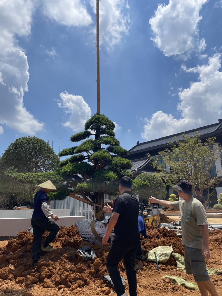 匠心筑精品国企显担当——桂林建筑规划设计集团高质量保障中国—东盟建设部长圆桌会议-38