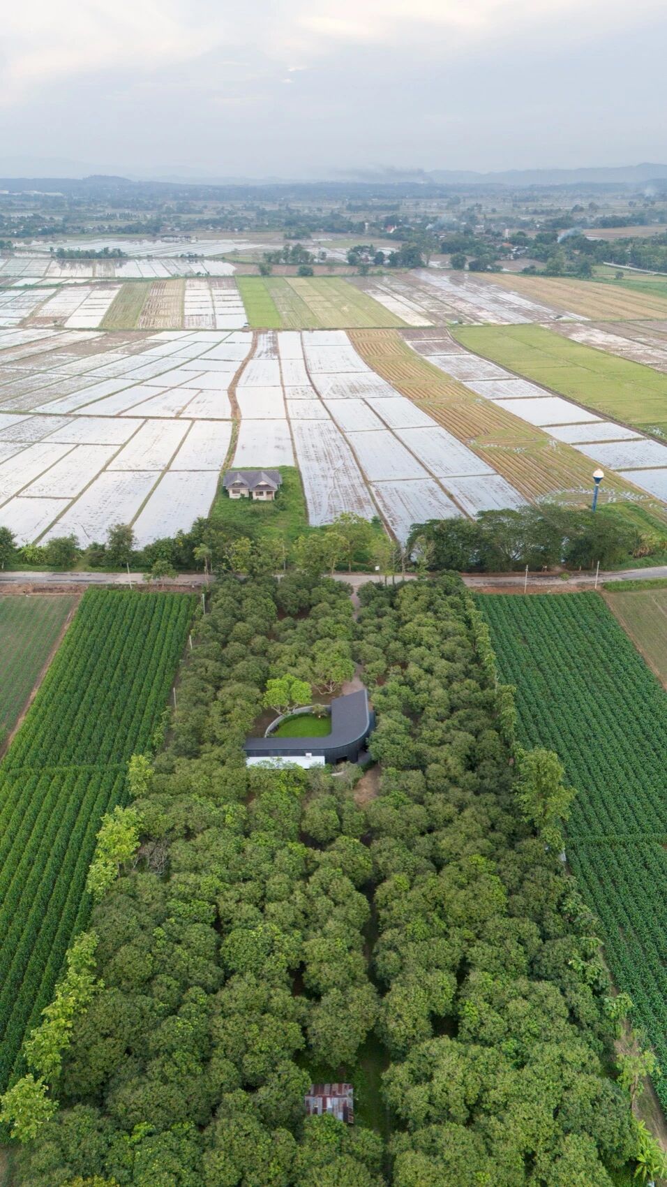 新作｜小花园中的MADA咖啡馆丨Thailand丨BodinChapa Architects-11