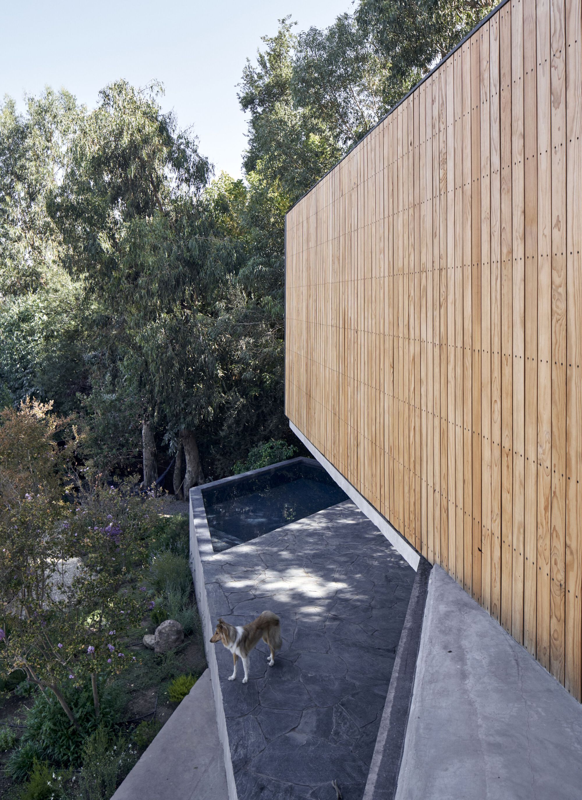 方舟之家丨智利丨Gonzalo Iturriaga Atala-34