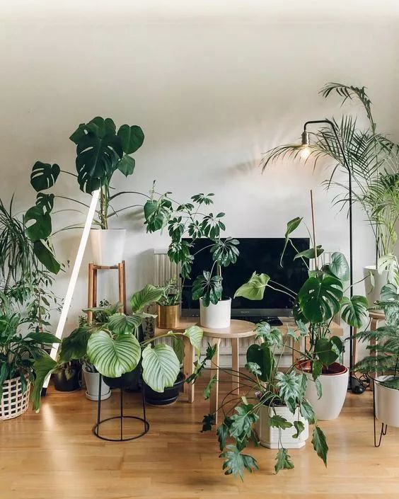 30㎡小户型也能拥有花园,设计师的神奇打造!-10