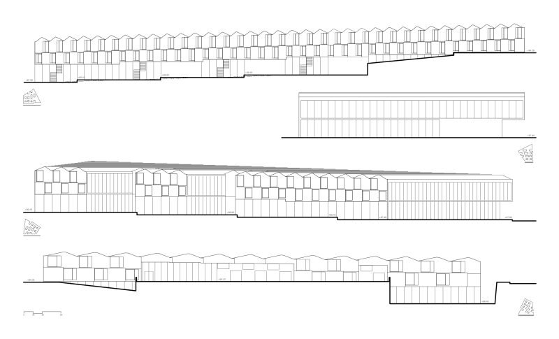 生物气候学派——伊斯顿·康姆斯-25