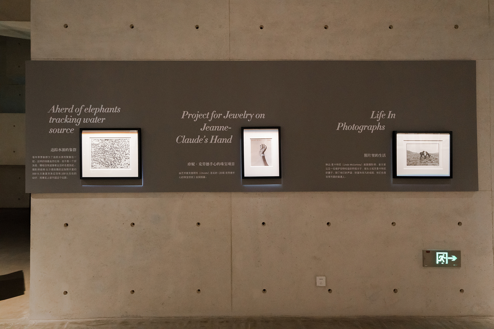 当代书籍展览丨谢子龙影像艺术馆-15