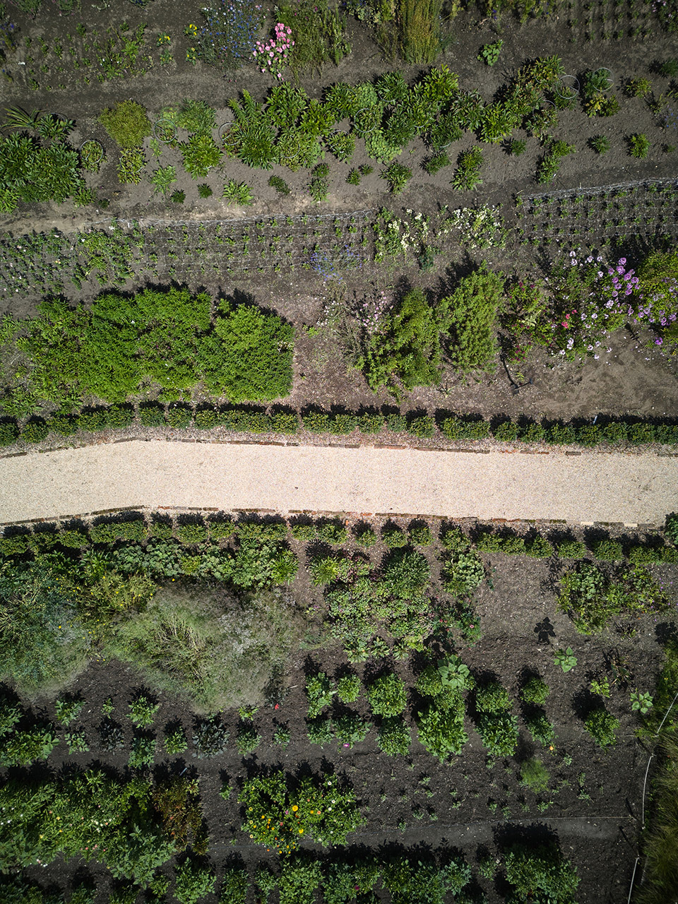 Kraffer花园修复项目丨捷克-79