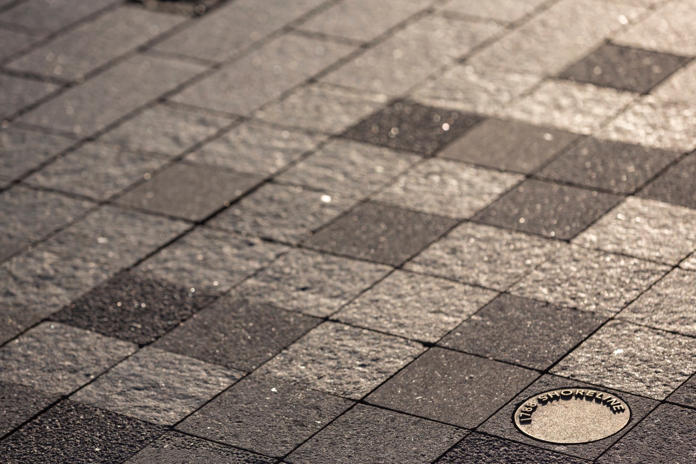 悉尼 Campbells Cove 公共空间重塑-6