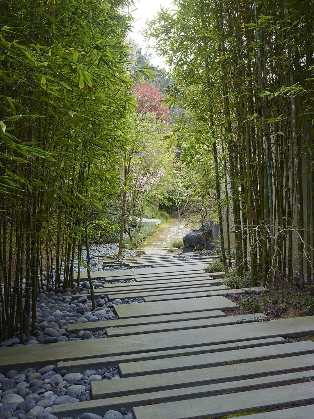 Hacienda Tiburon Landscape-13