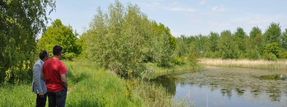 Prins Bernhardbos  种植方法研究丨荷兰-22