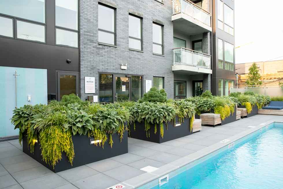 Lincoln Park Residences | Chicago | Norweta Row-32