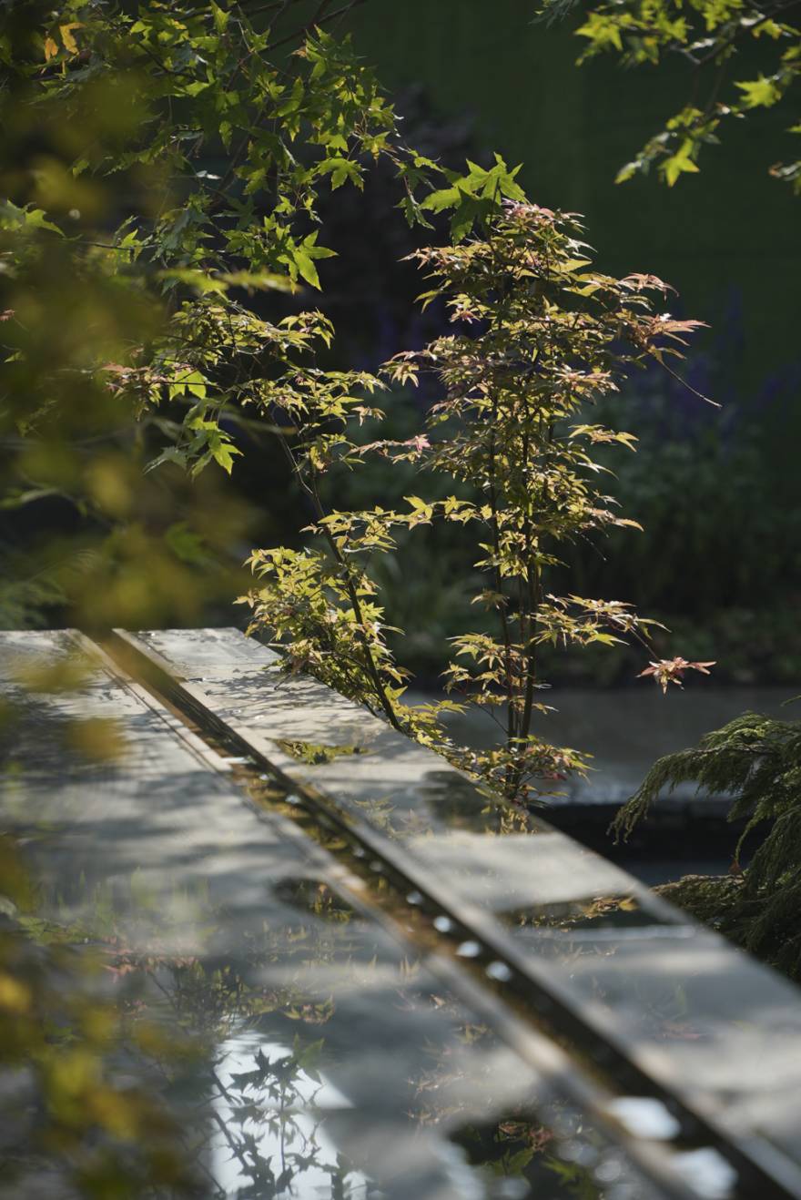 礼序东方 盛京游园 | 沈阳万科·胤樾-103