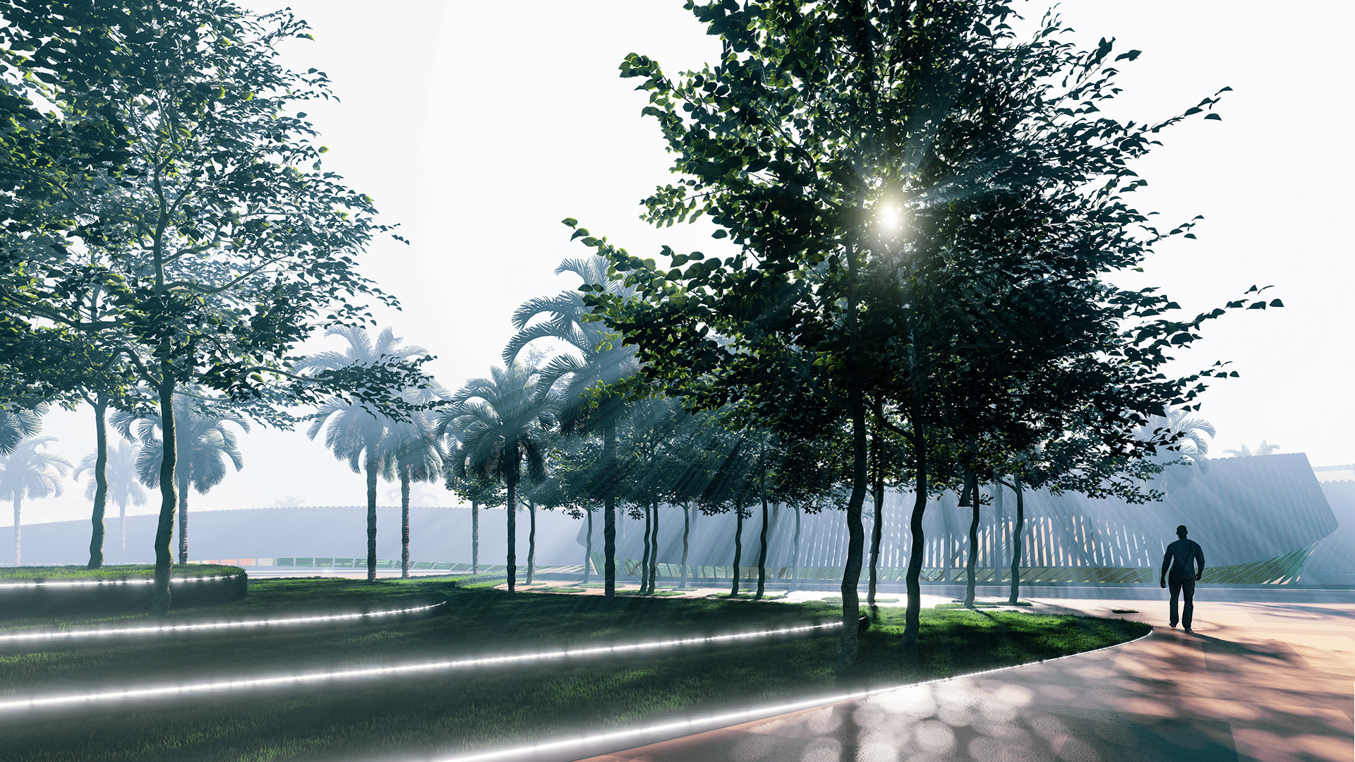 非洲区丨ASUFEDA-43