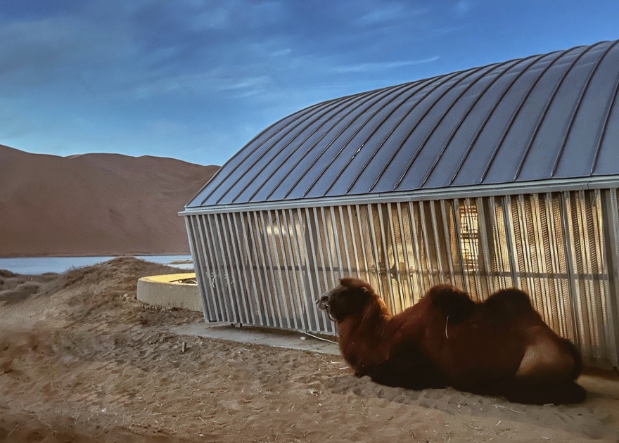 巴丹吉林沙漠里的家丨中国蒙古丨南京大学建筑与城市规划学院-147
