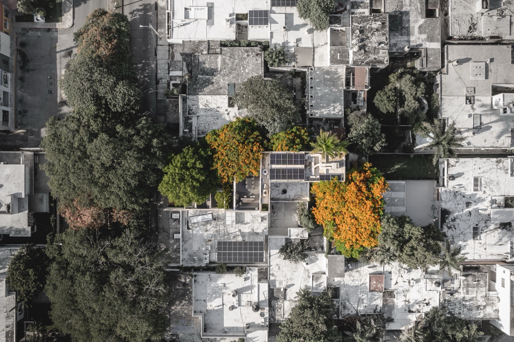 THE ASYLUM办公空间丨墨西哥丨Arkham Projects-6