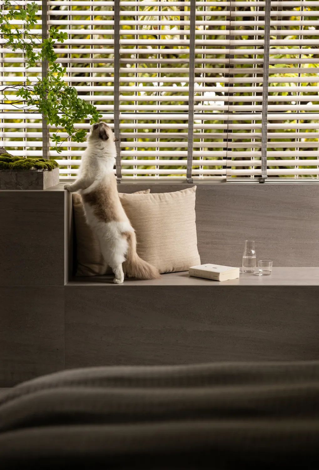 一个家,不只是视觉效果丨王小锋工作室-74