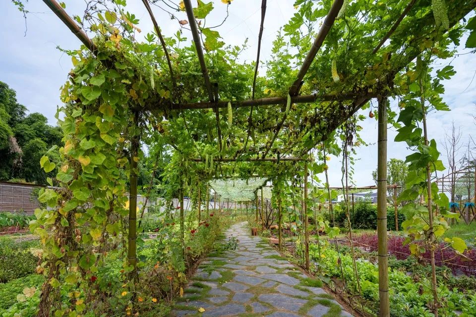 成都新希望种子乐园丨蓝海景观-88