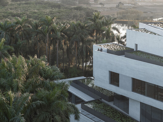 顺德云鹭湿地博物馆丨中国佛山丨Link-Arc建筑事务所-30