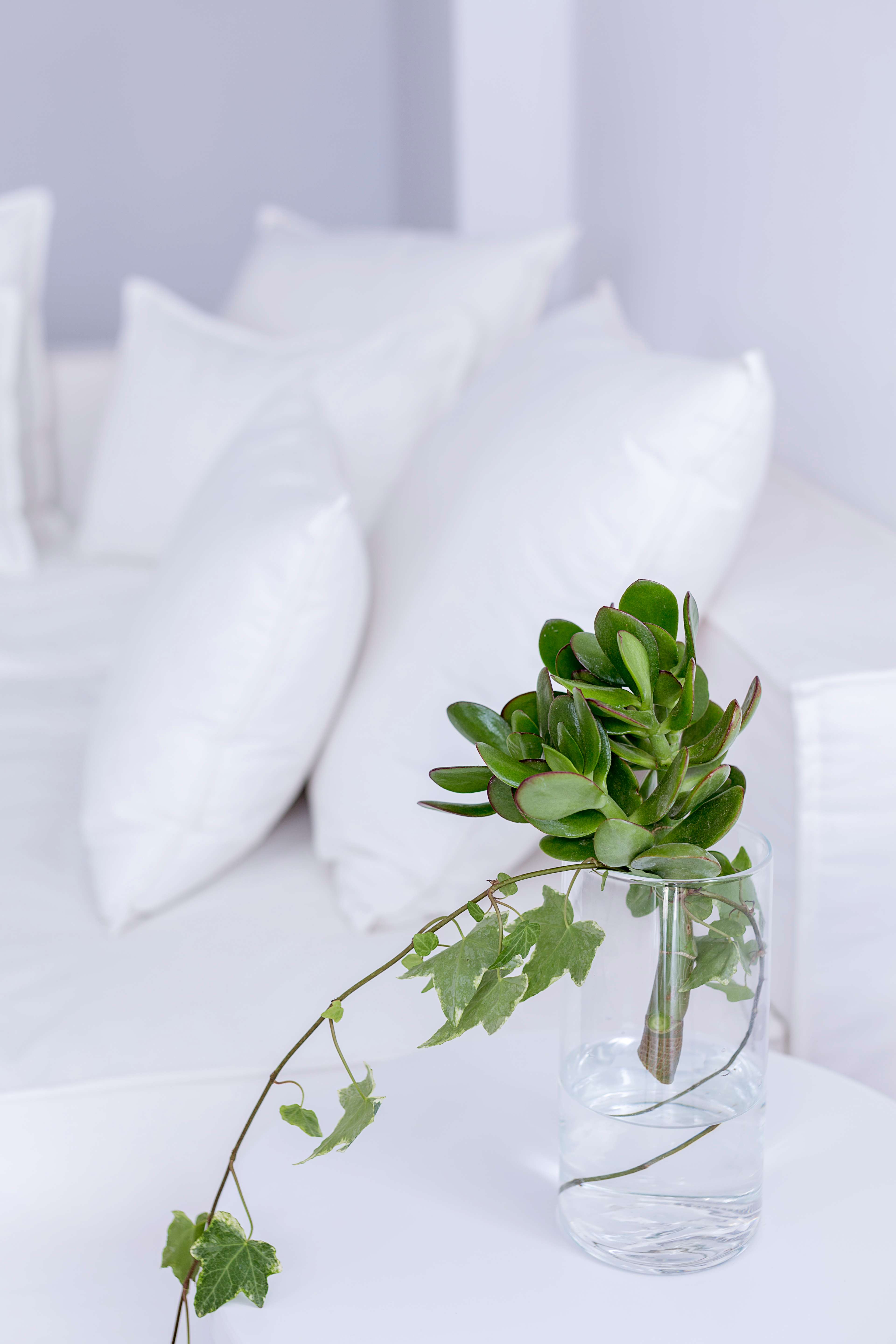 希腊米克诺斯彼得拉马尔酒店-10