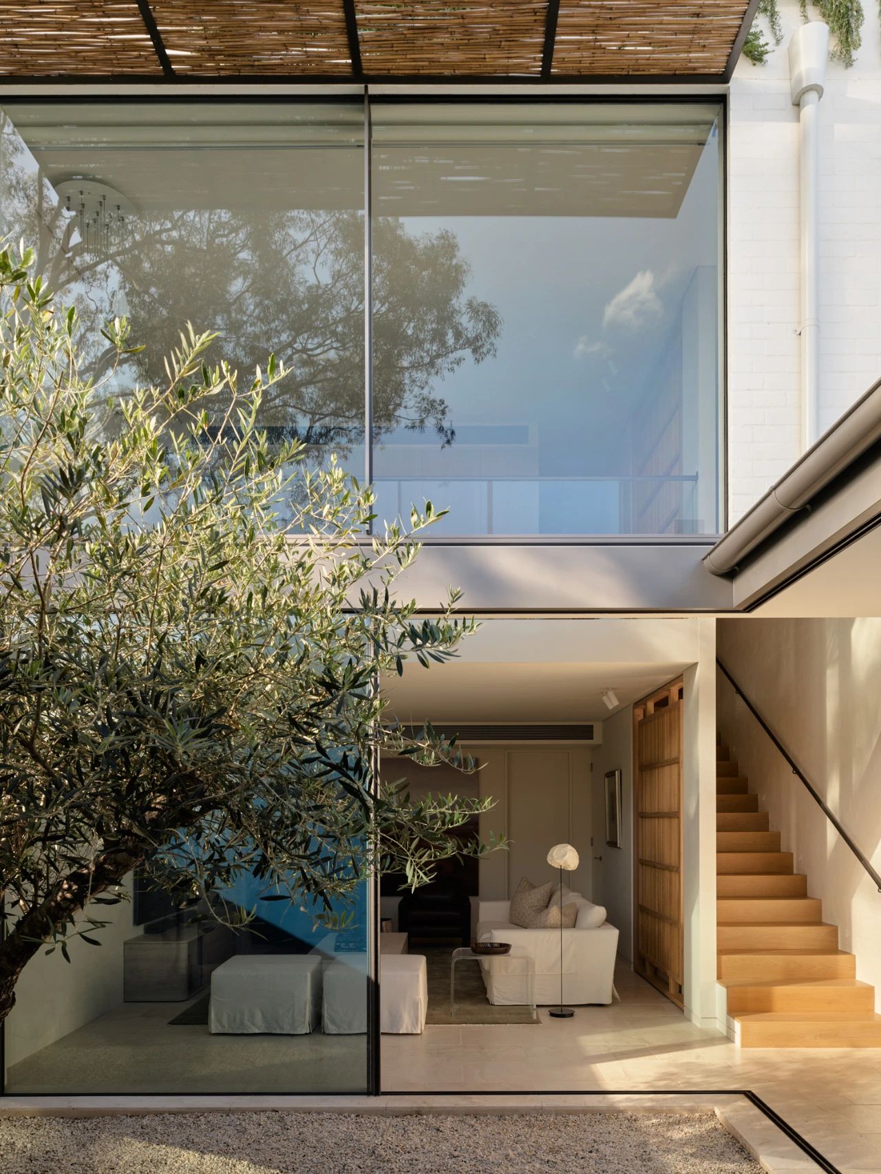 自然诗意之旅 · Woollahra House丨澳大利亚悉尼丨Freya Salter-13