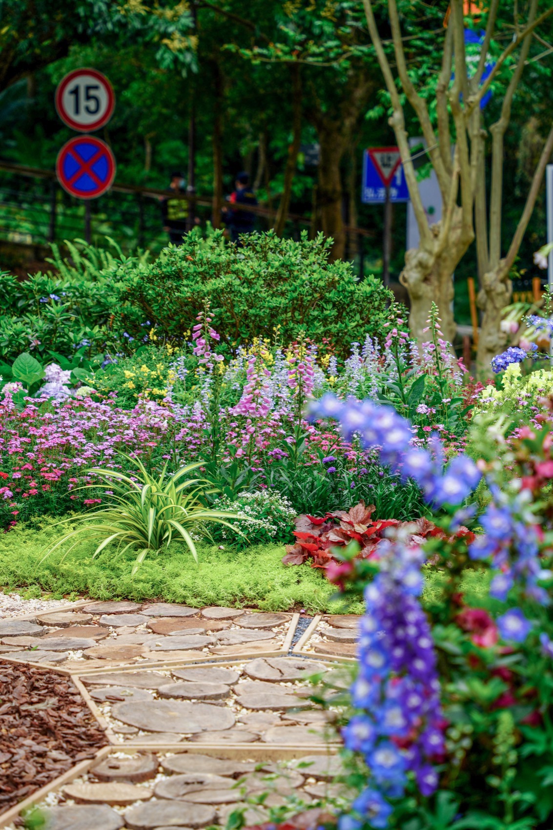 互动视听花园,深圳 / 华南理工大学建筑学院风景园林系-82