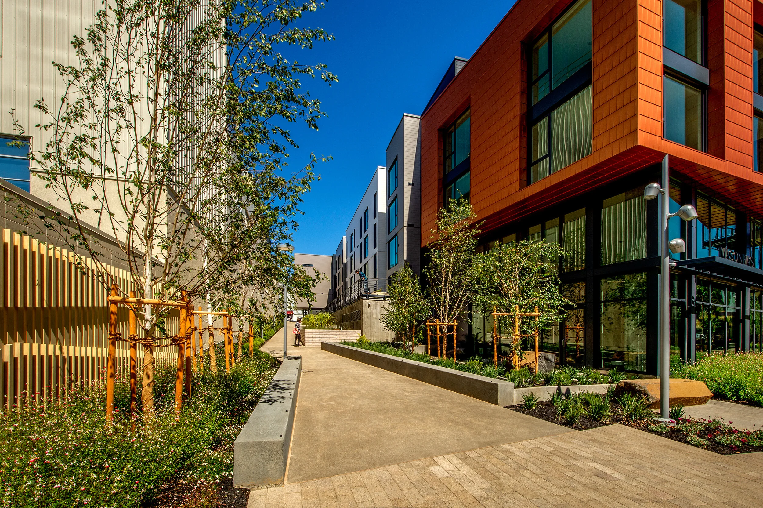 丨美国丨Fletcher Studio-19