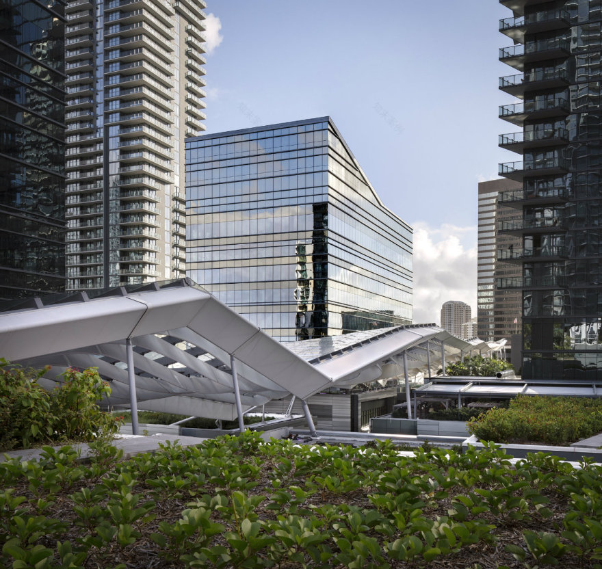 布里克尔市中心,在城市中心为野生动物打造一个家-63