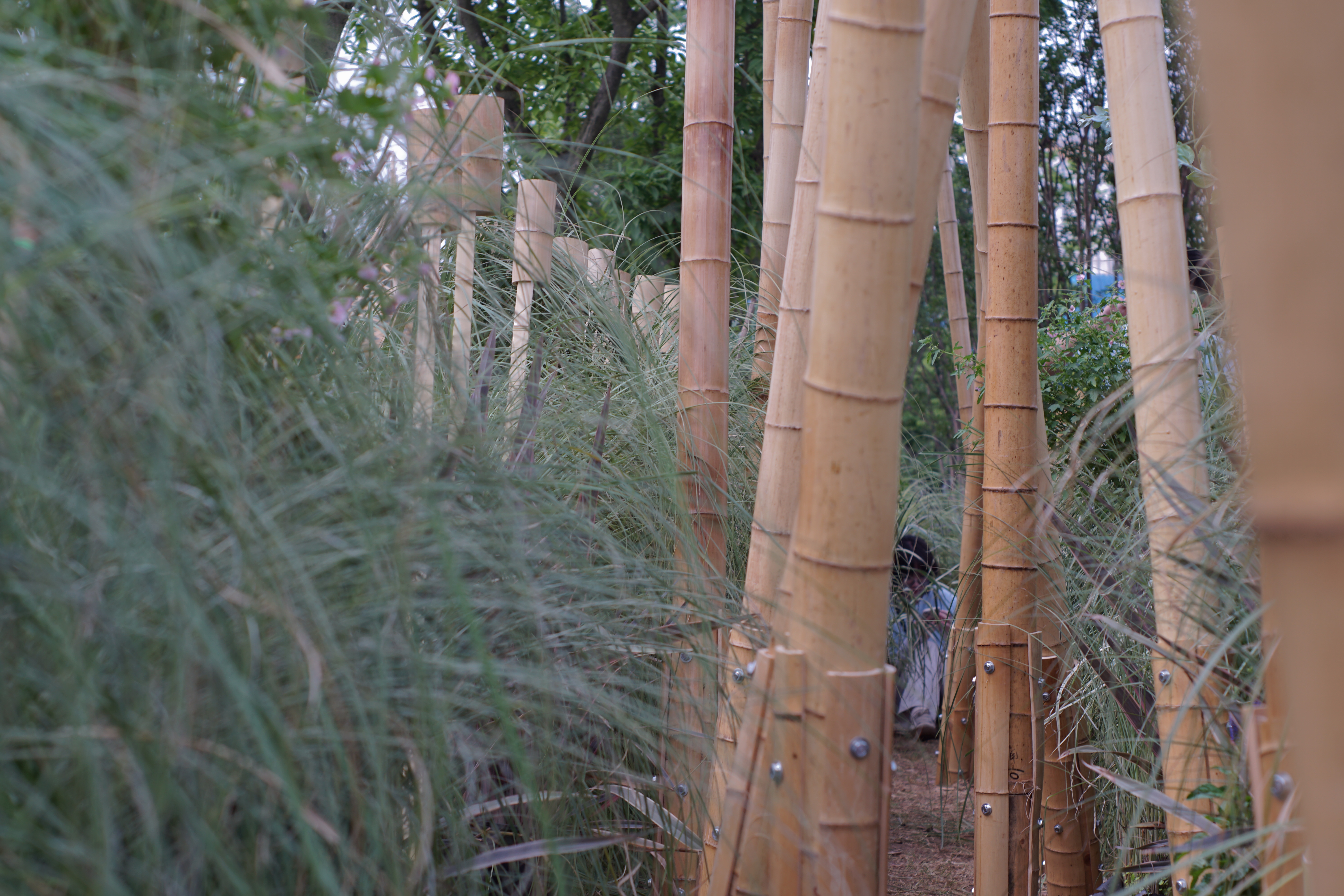 竹林丨中国成都丨Atelier Folie（北林风景建筑研究中心）-13