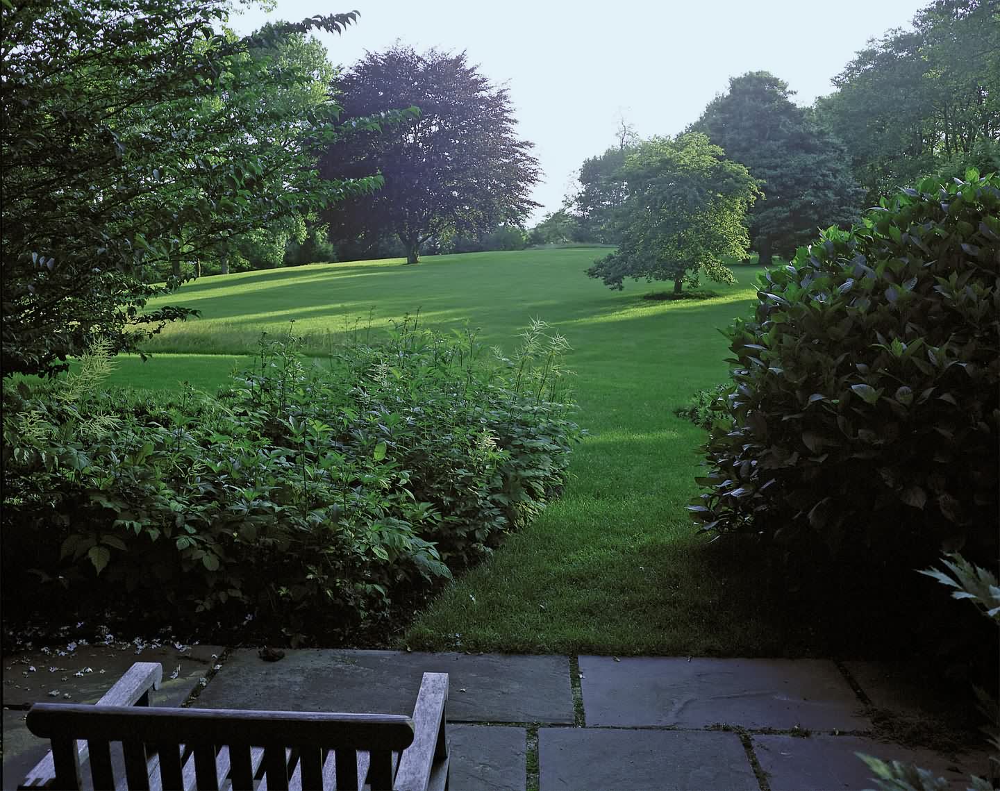 Hither Lane 景观与建筑-9