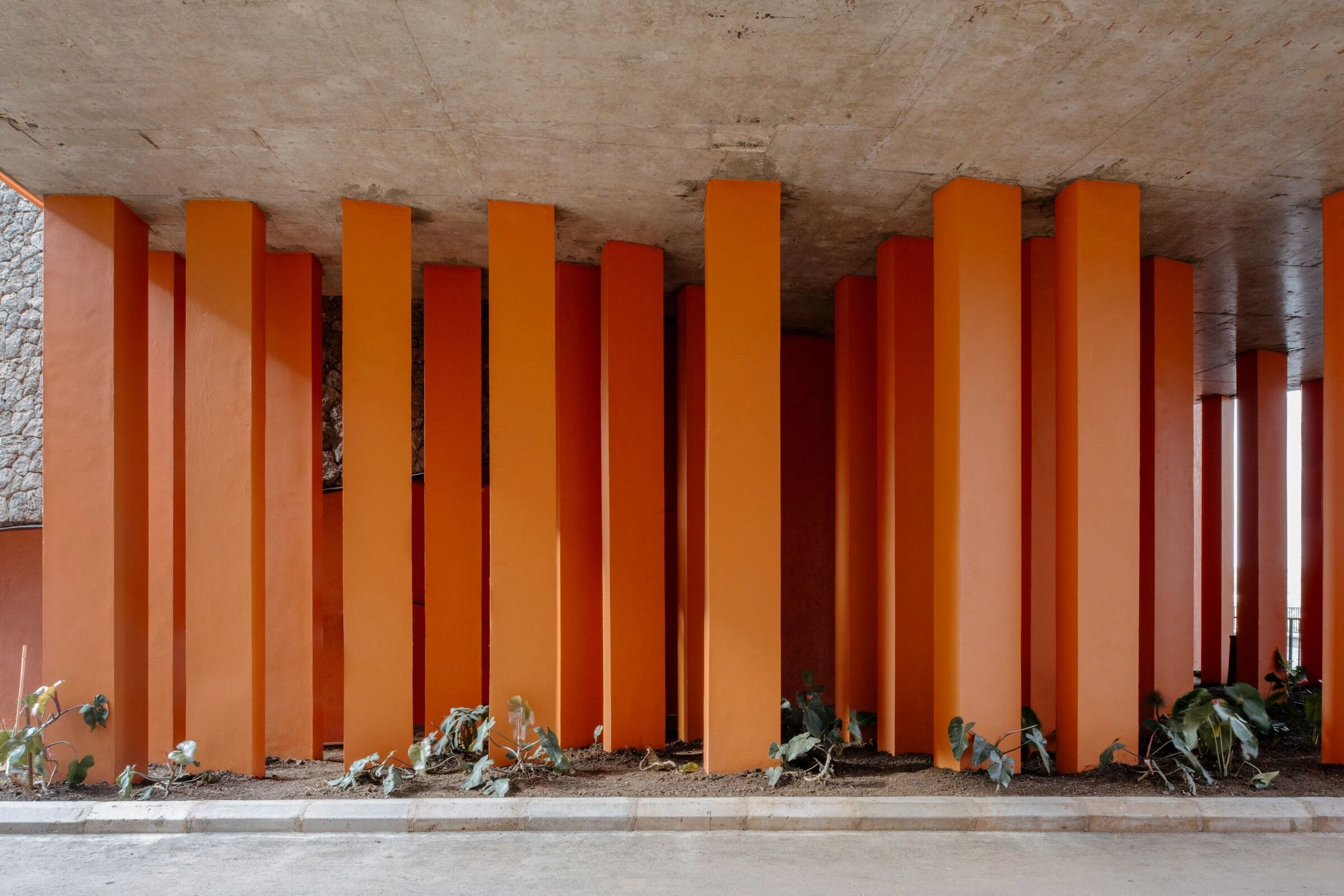 伊卡德非洲 卢旺达丨卢旺达-9