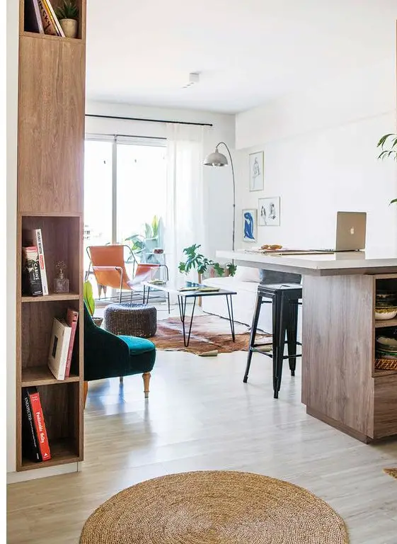 布宜诺斯艾利斯设计师的 38m²小户型奇迹-7